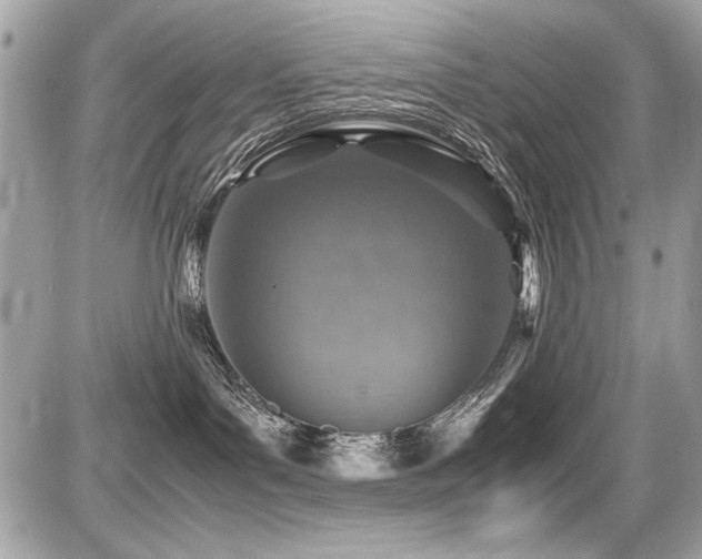 X0000087690143200705041047