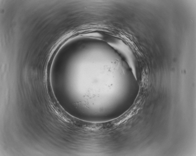 X0000087690148200705041046