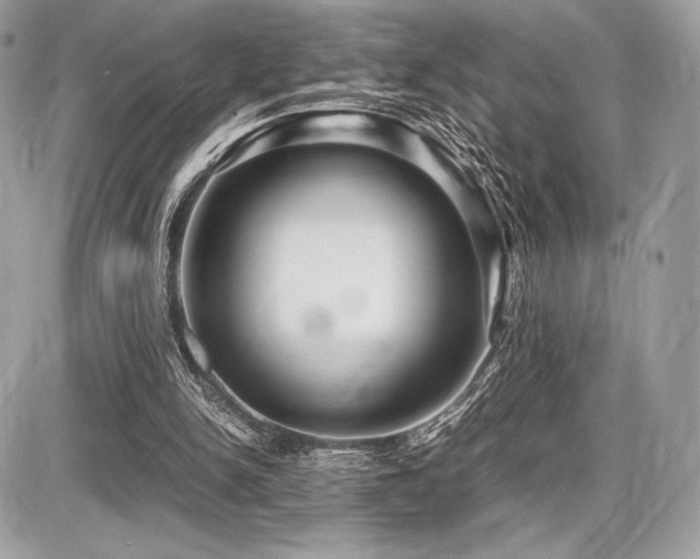 X0000087690150200705041046