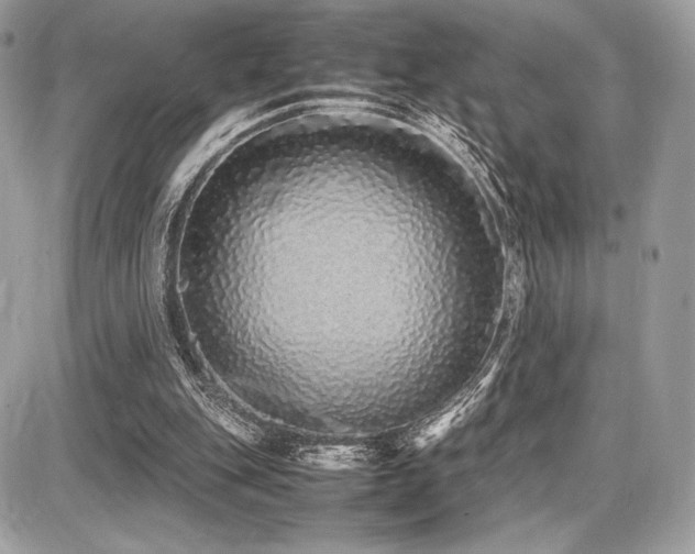 X0000087690151200705041046