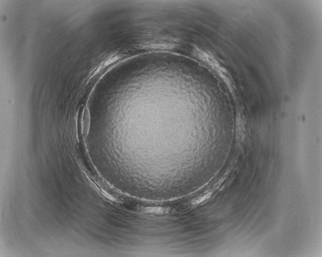 X0000087690153200705041046