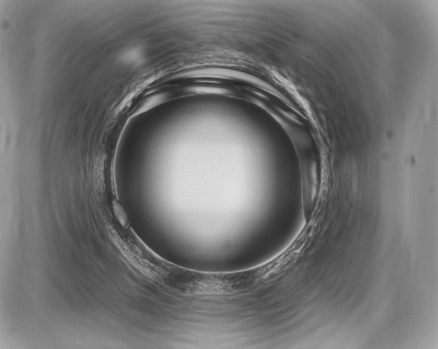 X0000087690154200705041046