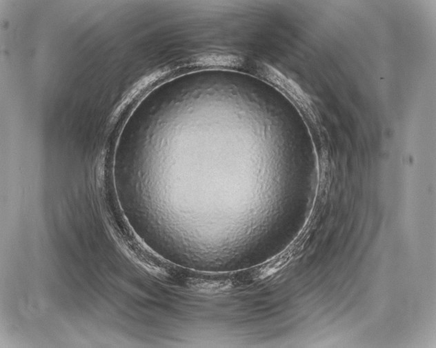 X0000087690155200705041046