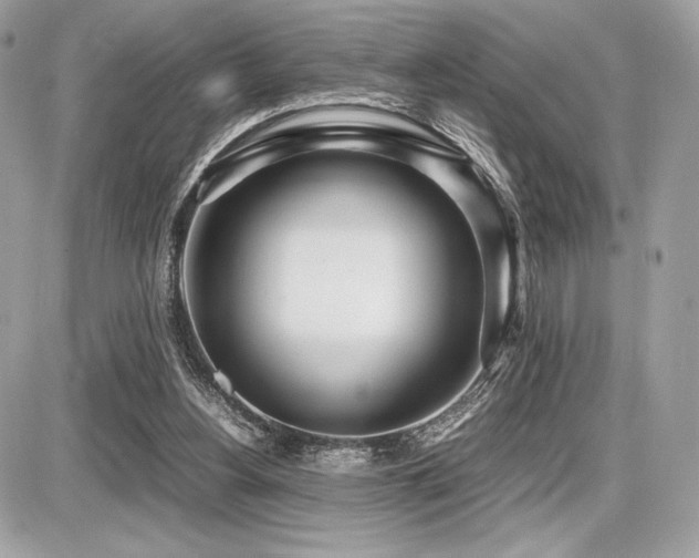X0000087690156200705041046