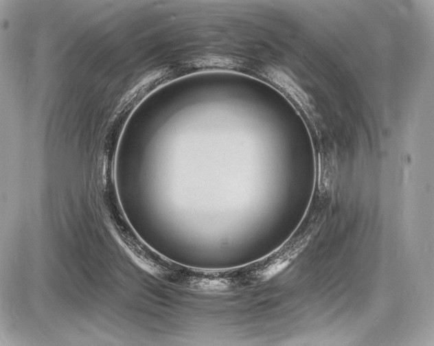 X0000087690157200705041046