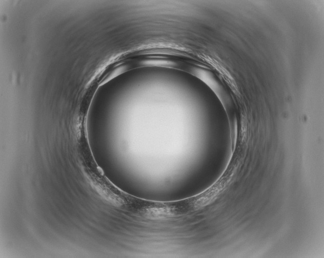 X0000087690160200705041046