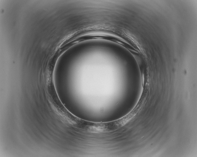 X0000087690164200705041047