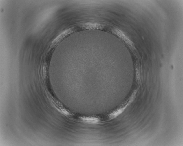 X0000087690165200705041047