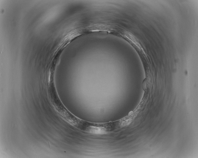 X0000087690167200705041047