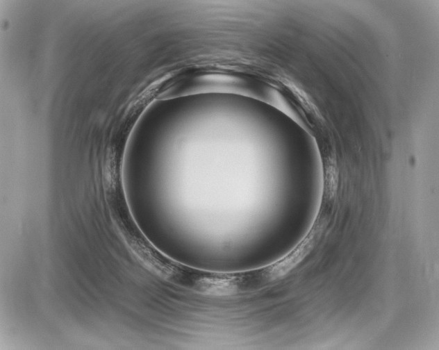 X0000087690170200705041047