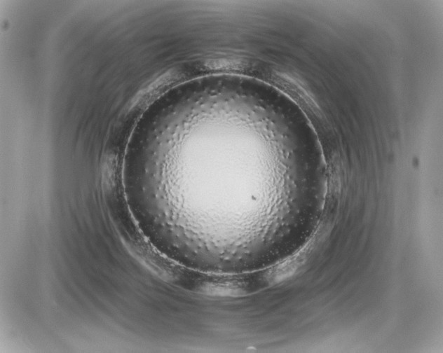 X0000087690171200705041047