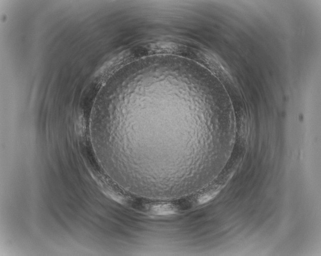 X0000087690173200705041047