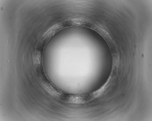 X0000087690174200705041047