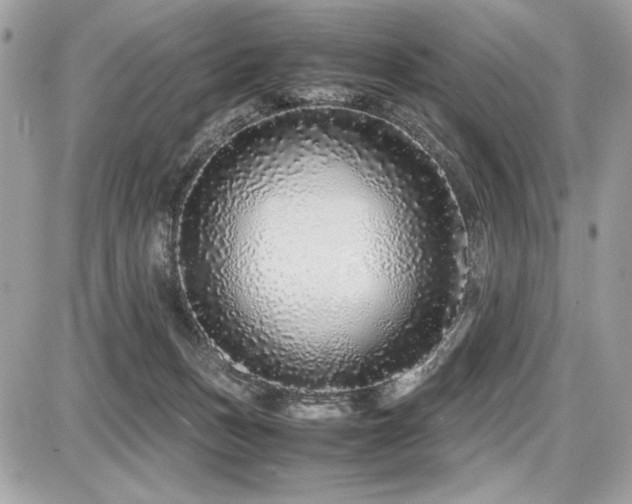 X0000087690175200705041047