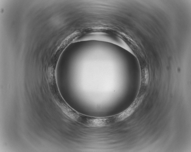 X0000087690184200705041047