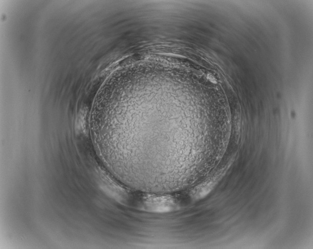 X0000087690185200705041047