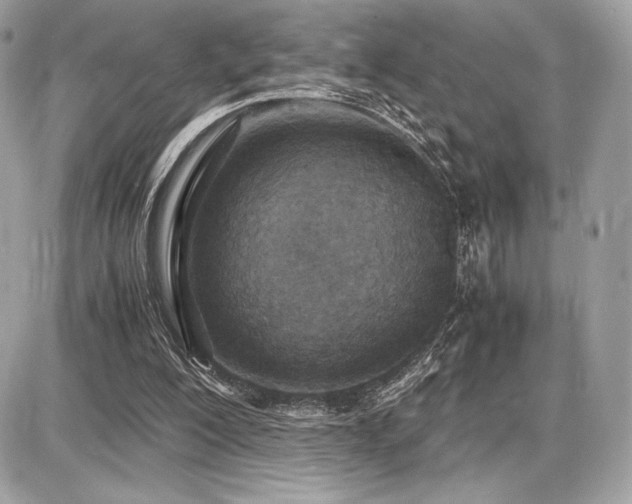 X0000087690200200705041046