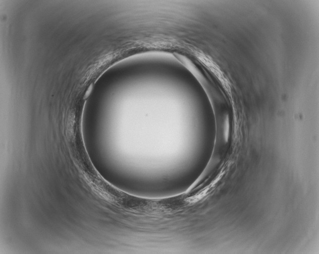 X0000087690201200705041046