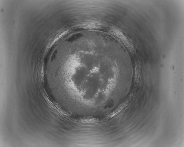 X0000087690202200705041046