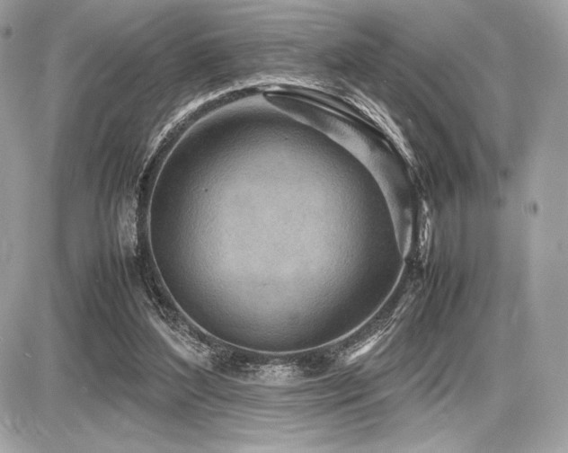 X0000087690204200705041046