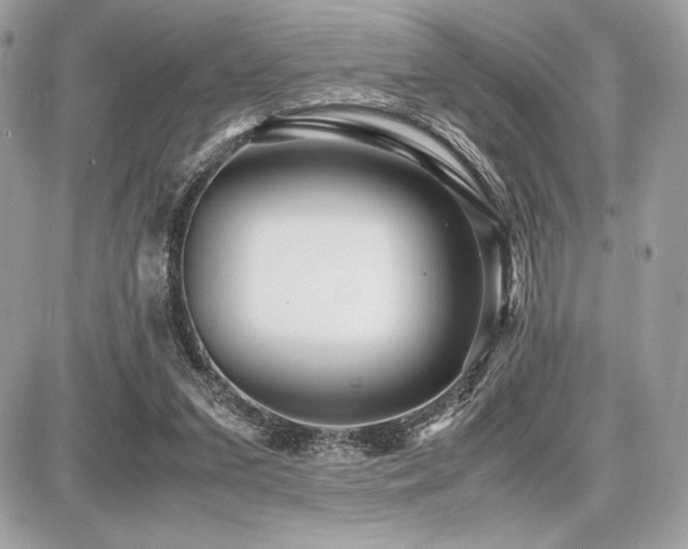 X0000087690207200705041046