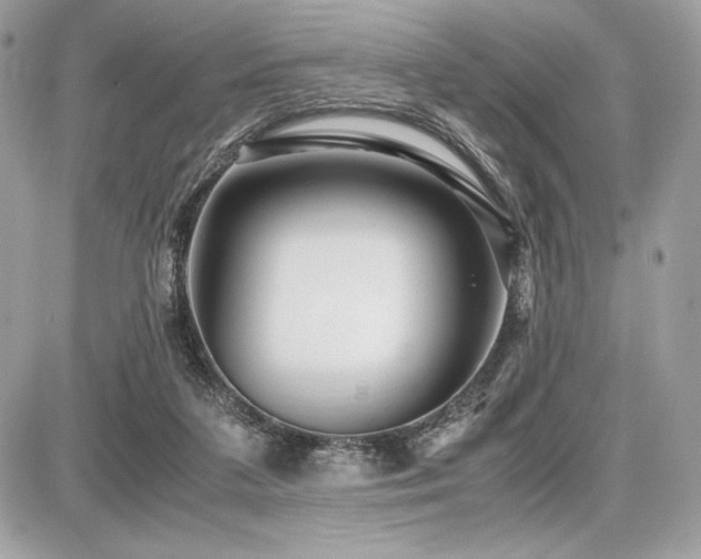 X0000087690211200705041046