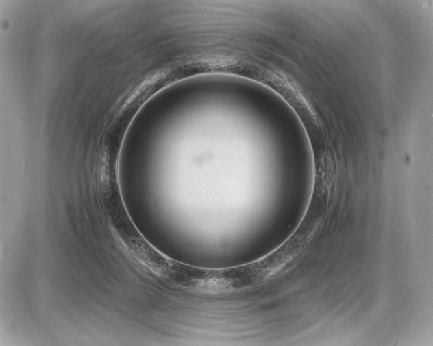 X0000087690212200705041046