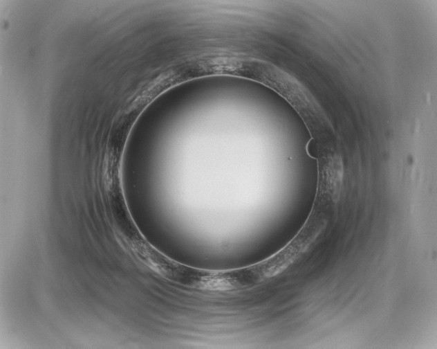 X0000087690218200705041046