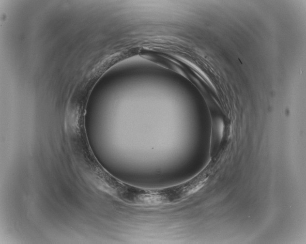 X0000087690219200705041046