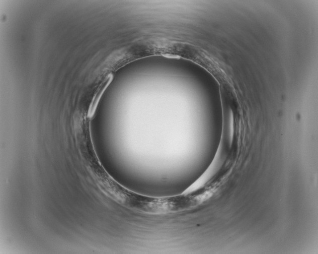 X0000087690225200705041046