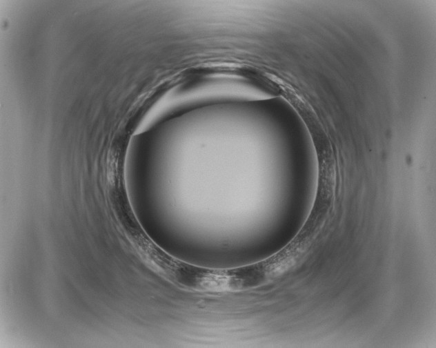 X0000087690227200705041046