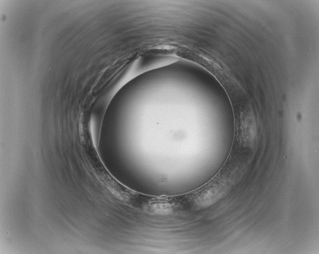 X0000087690228200705041046