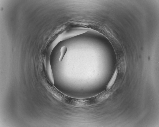 X0000087690229200705041046