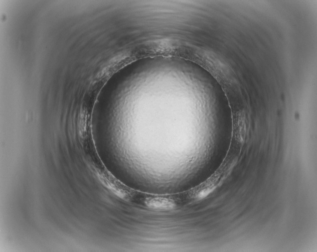 X0000087690230200705041046