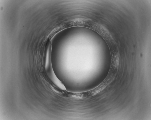 X0000087690232200705041046