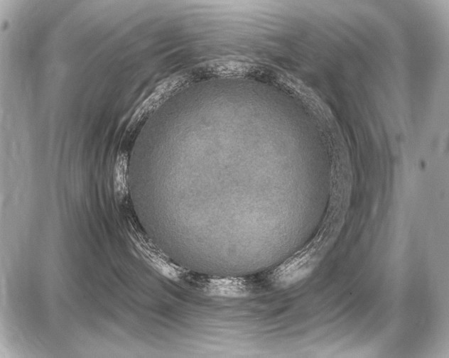 X0000087690240200705041045