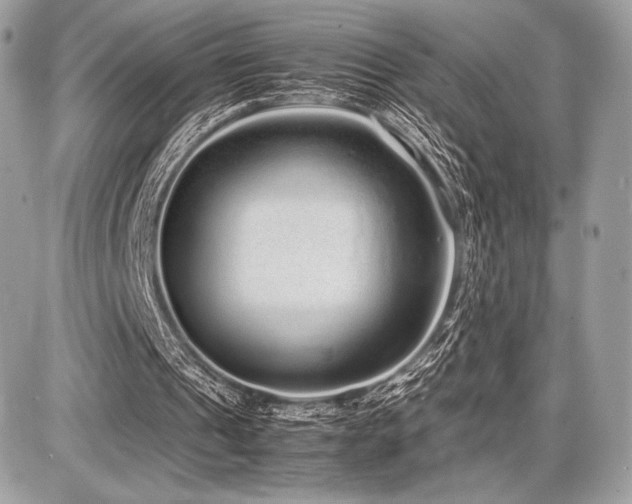 X0000087690241200705041045