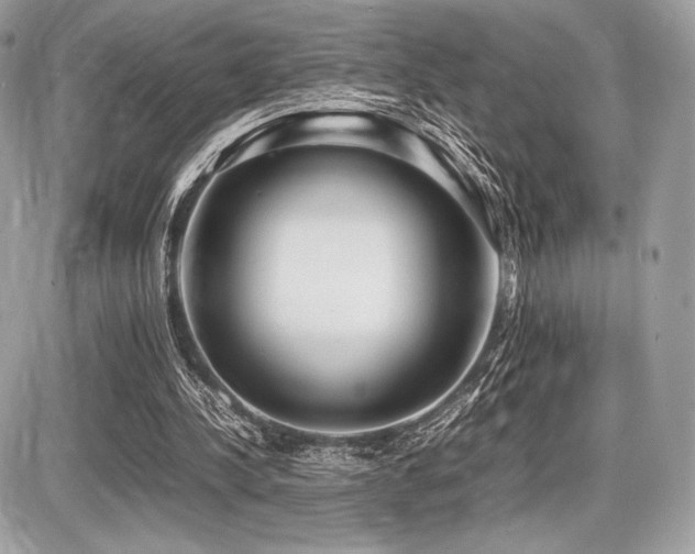 X0000087690244200705041045