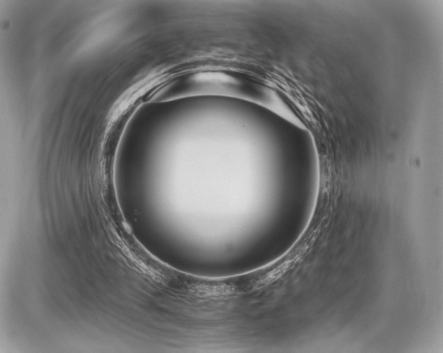 X0000087690245200705041045