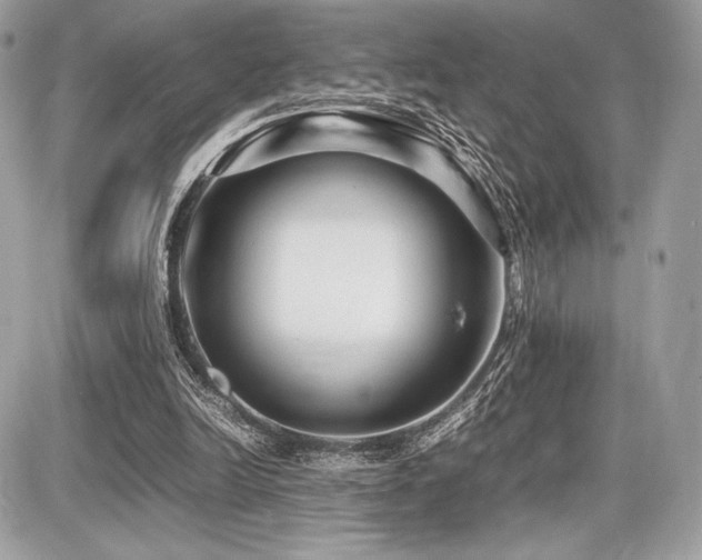 X0000087690246200705041045