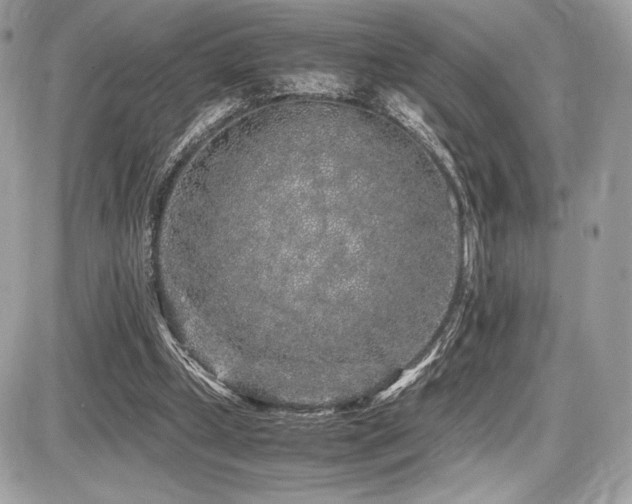 X0000087690249200705041045