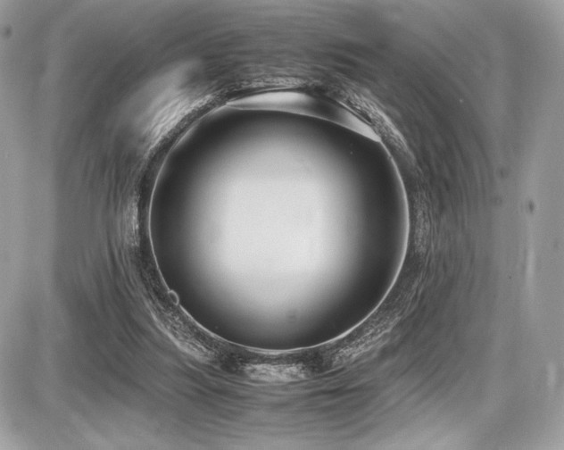 X0000087690251200705041045