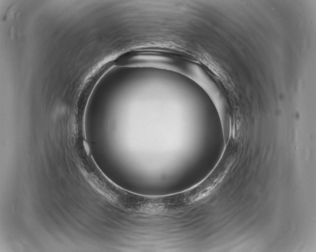 X0000087690252200705041045