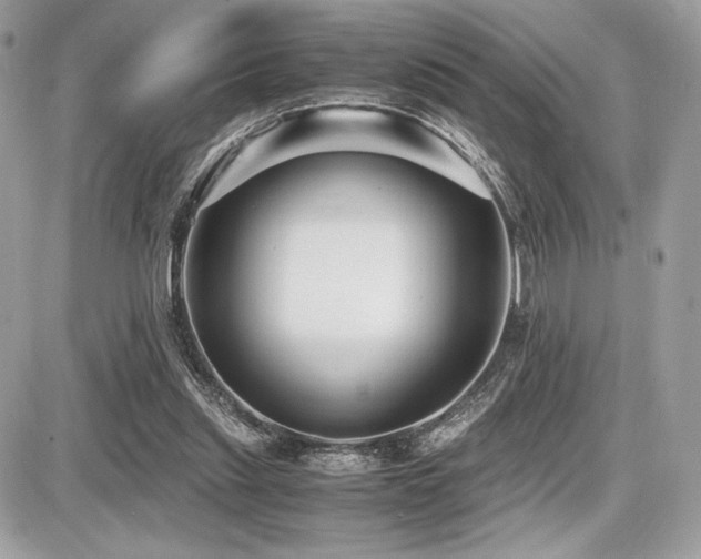 X0000087690253200705041045