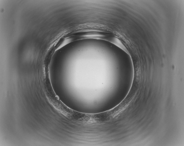 X0000087690254200705041045
