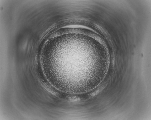X0000087690258200705041045