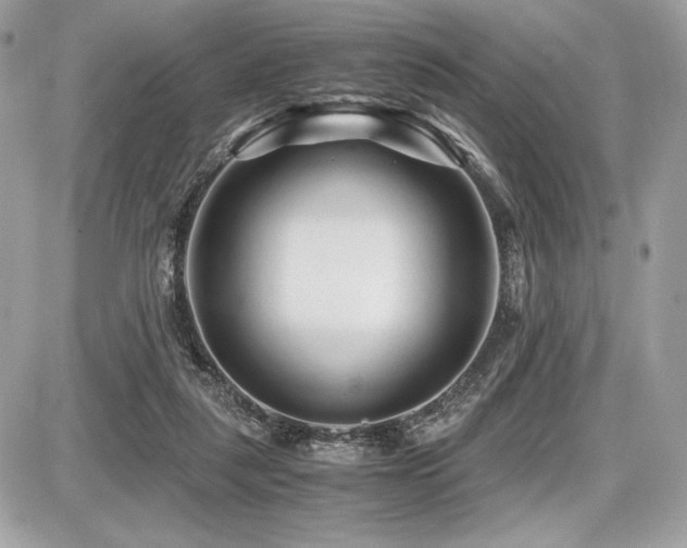 X0000087690259200705041045