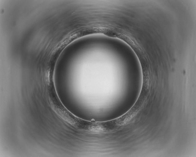 X0000087690262200705041045