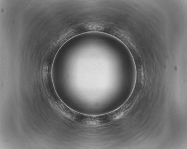 X0000087690263200705041045
