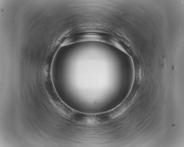 X0000087690264200705041045